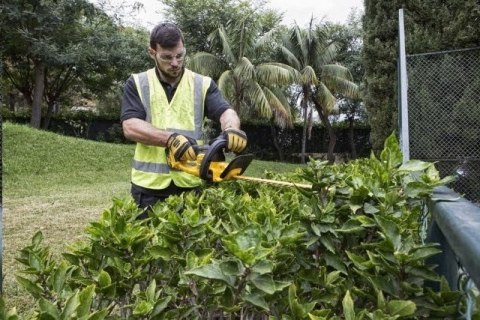 DCM563PB-XJ Nożyce do żywopłotu 18V z silnikiem bezszczotkowym DeWalt