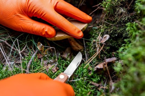 97-690-M RĘKAWICZKI NITRYLOWE, POMARAŃCZOWE, 50 SZTUK, ROZMIAR M NEO TOOLS