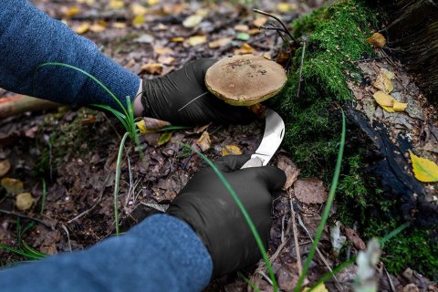 97-691-L RĘKAWICZKI NITRYLOWE, CZARNE, 100 SZTUK, ROZMIAR M NEO TOOLS 97-691-L RĘKAWICZKI NITRYLOWE, CZARNE, 100 SZTUK, ROZMIAR M NEO TOOLS